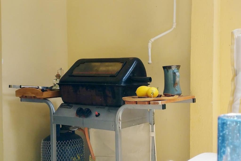 Garden Apartment With Bbq In The Athenian Riviera Εξωτερικό φωτογραφία